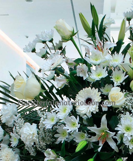 Corona funeraria básica clavel blanco