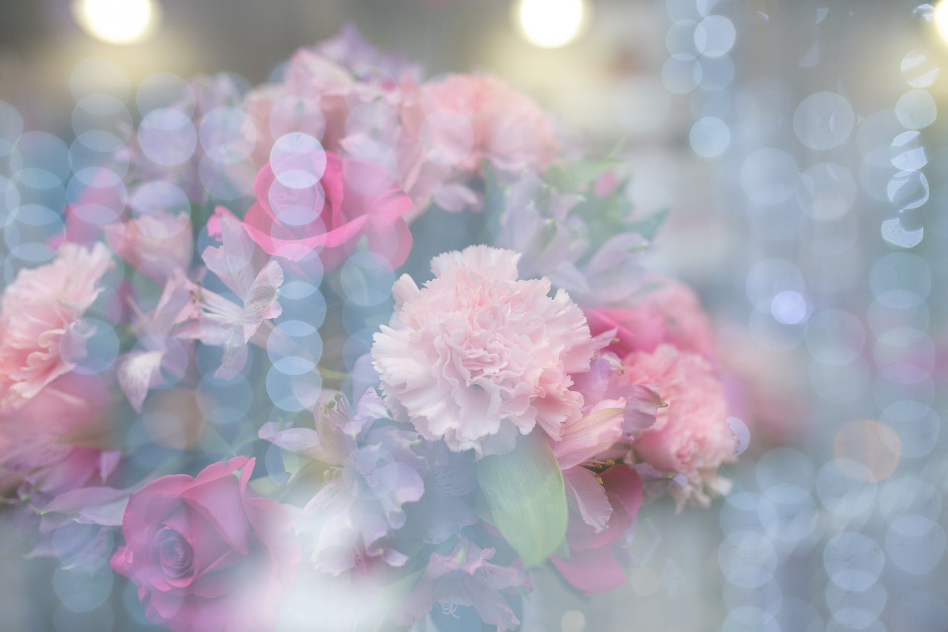 Floristería Tanatorio León