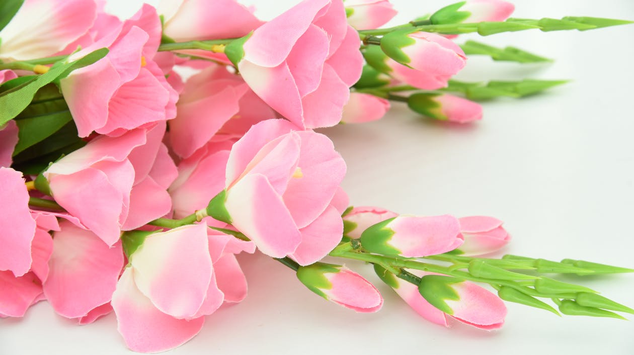 Floristería Tanatorio León