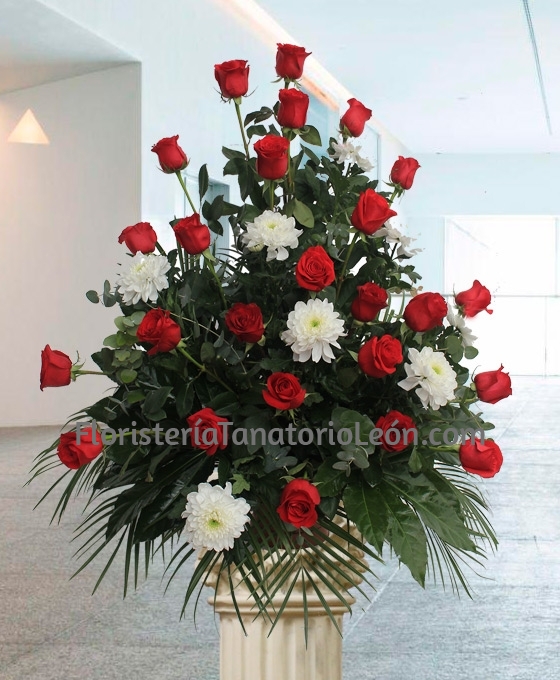 Centro fúnebre de rosas rojas y margaritas blancas