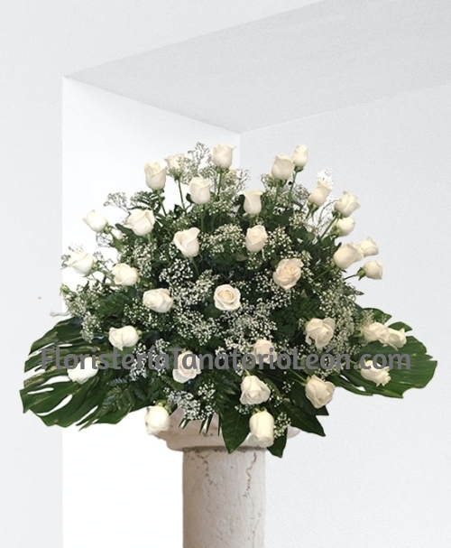 Flores para Funeral León